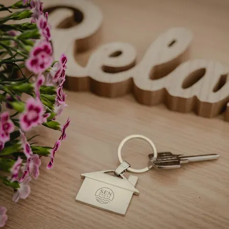 Sen House Apartman *