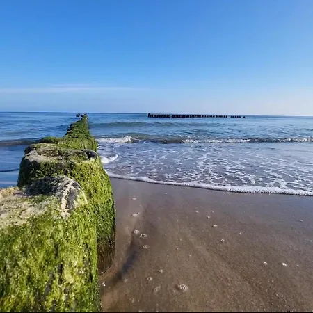 Sen House Lejlighed *