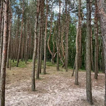 Sen House Lejlighed *