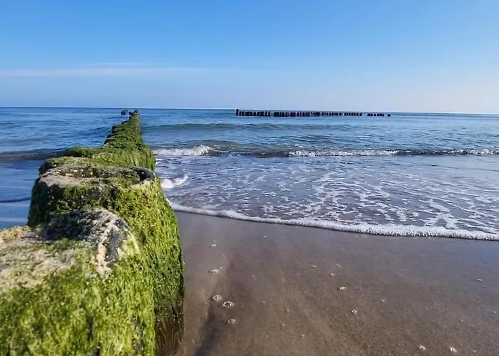 Sen House Apartamento *