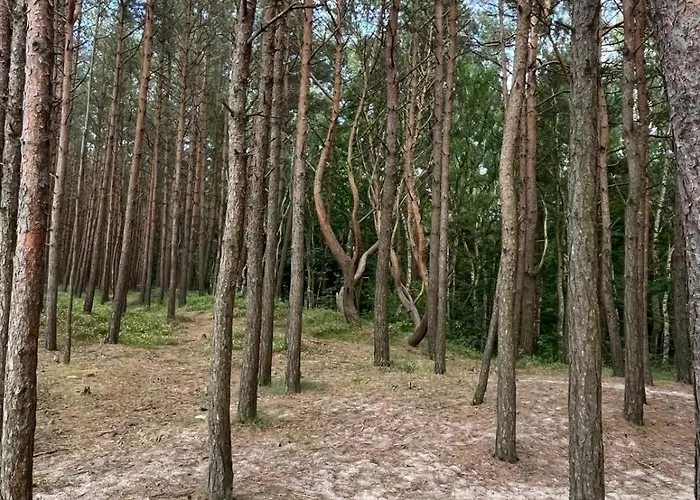 Sen House Apartamento *